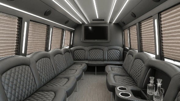 20 passenger party bus interior