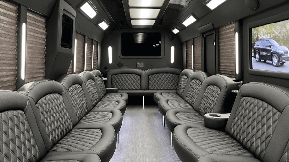 detroit 20 passenger party bus